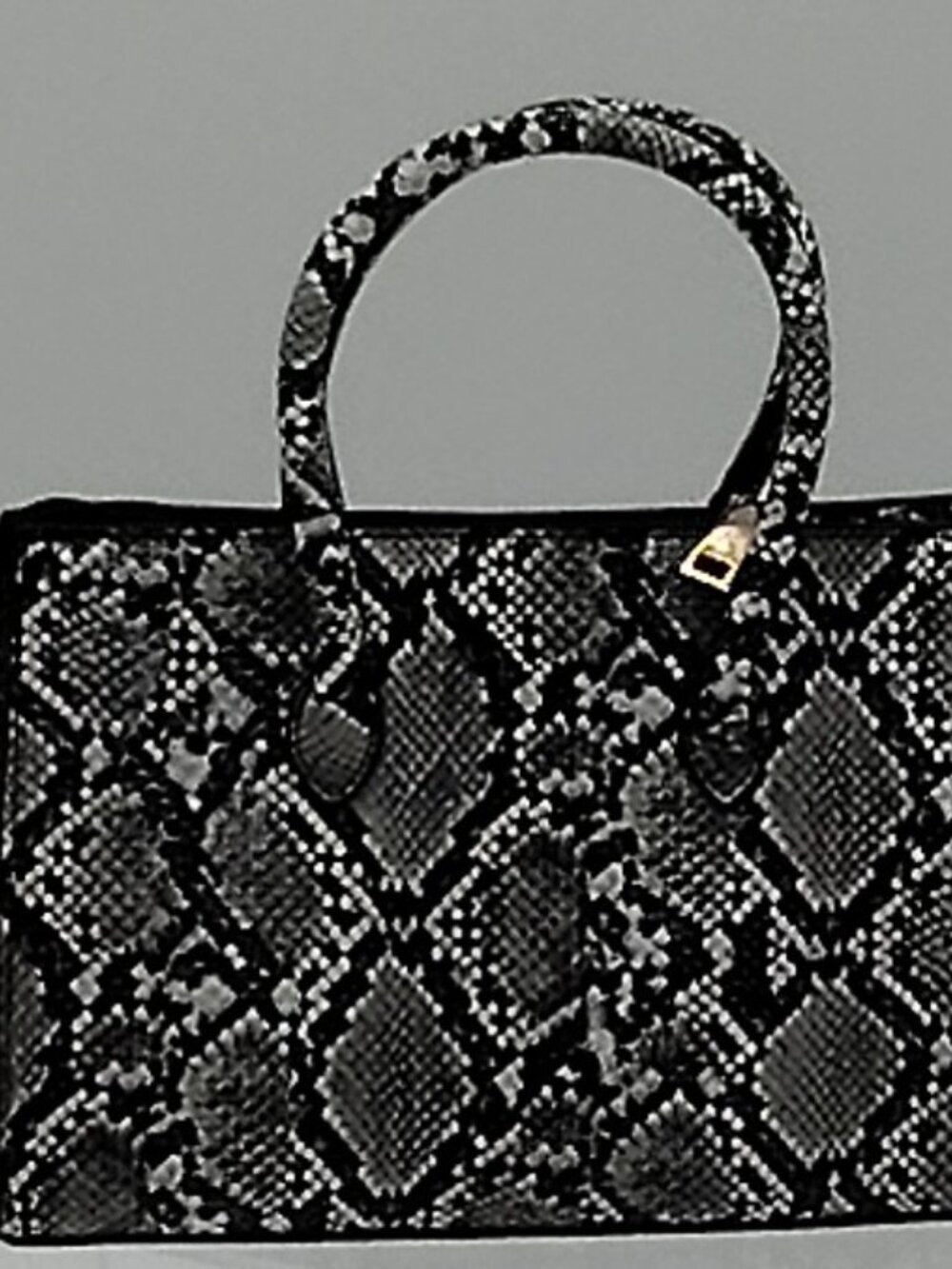 Silver Python Structured Handbag - The Exotic Luxe Edit - Picture 5 of 9